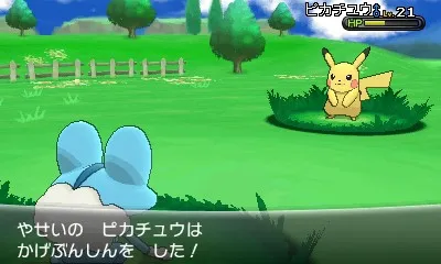 Image 45617