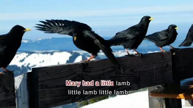 Image 46191