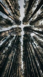 TEST Long Vertical Image