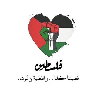 doaa gaber