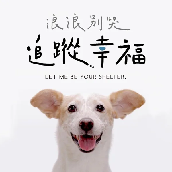 浪浪別哭 追蹤幸福