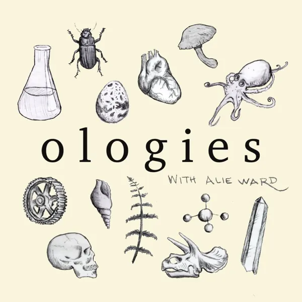 Museology (MUSEUMS) Encore in Memory of Ronnie Cline
