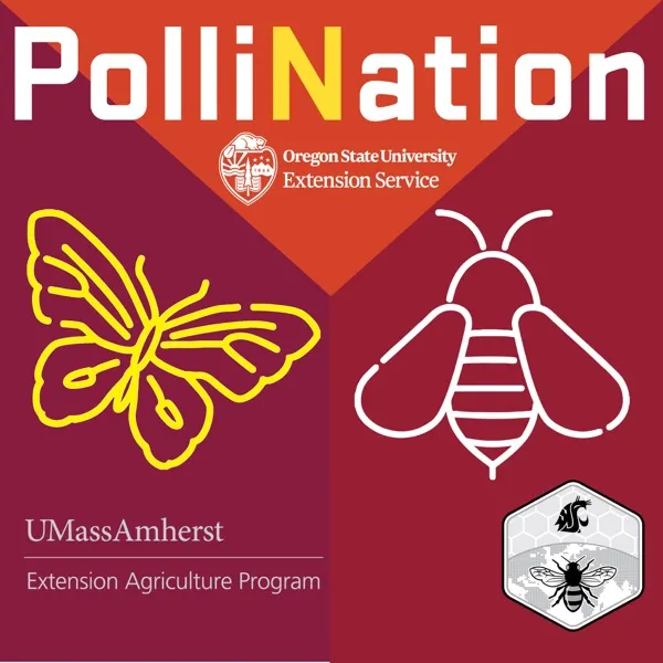 90 Dr. Casey Delphia - The Bees of Montana