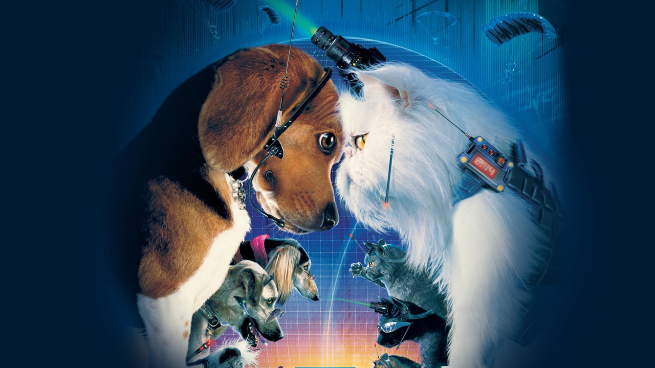 Cats & dogs (als kat en hond)
