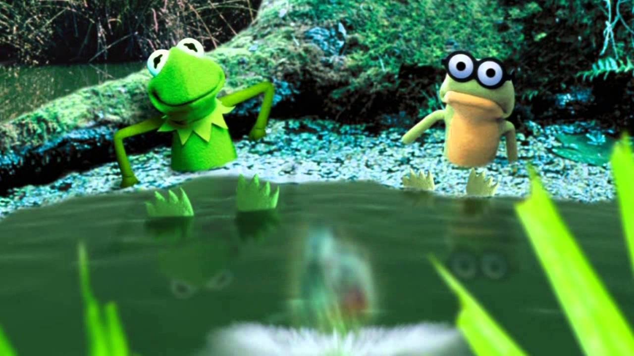 Kermit's swamp years (DVD)