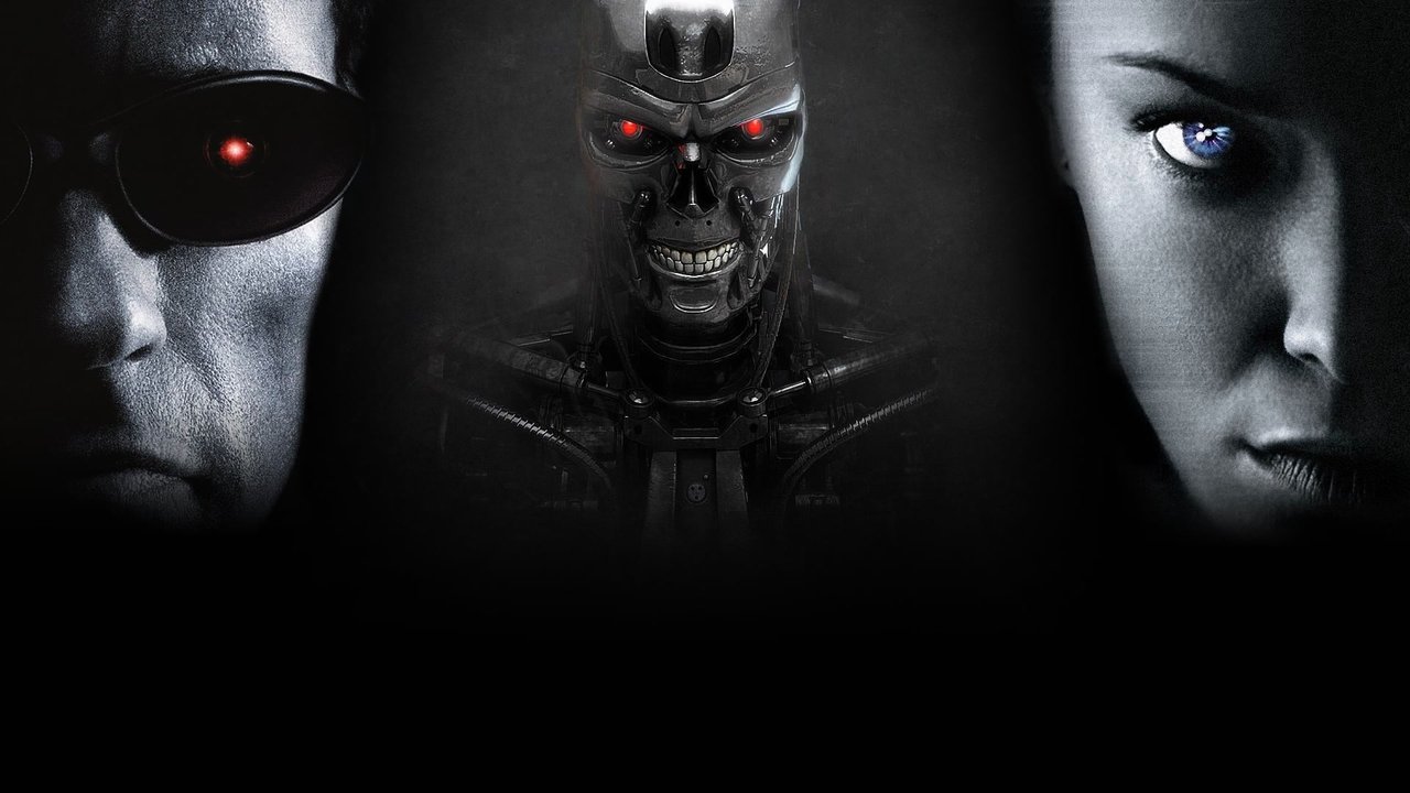 Terminator 3  (DVD)