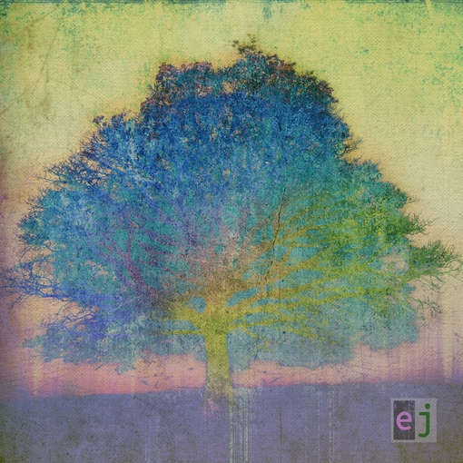 Eric Johnson - Ej (CD)
