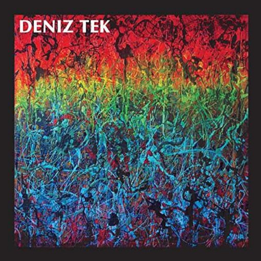 Deniz Tek - Mean Old Twister (LP)