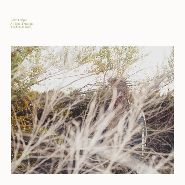 Luke Temple - A Hand Through The Cellar Door (LP)