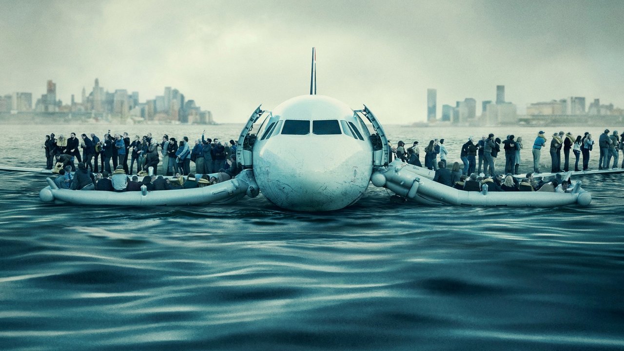 Sully (DVD)