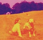 Eels - Blinking Lights & Other Re