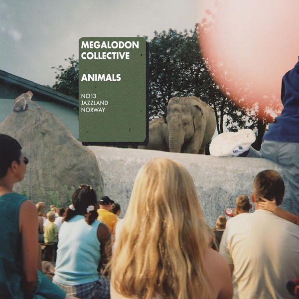 Megalodon Collective - Animals (CD)