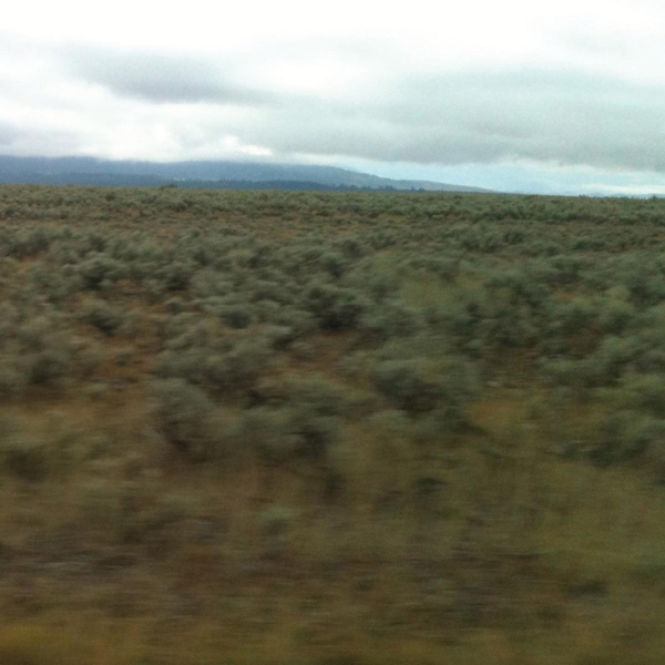 Caroline Says - 50,000,000 Elvis Fans Can't Be Wrong (CD)