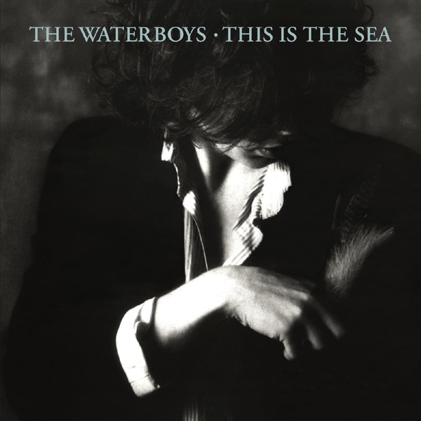 The Waterboys - This Is The Sea (2 CD) (Collector's Edition) (Remastered)
