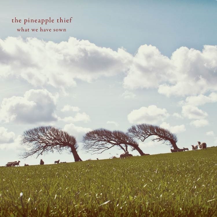 The Pineapple Thief - What We Have Sown (CD)
