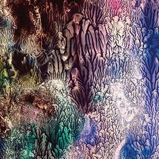 The Womb - The Womb (CD)
