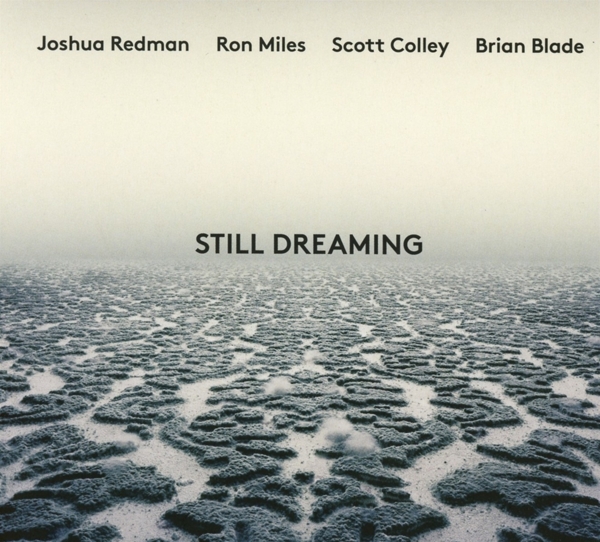 Joshua Redman, Ron Miles, Scott Colley, Brian Blade - Still Dreaming (CD)