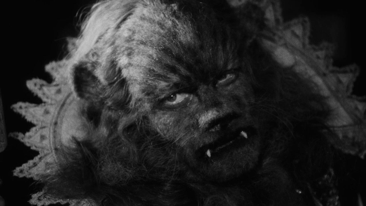La Belle Et La Bete (Import)