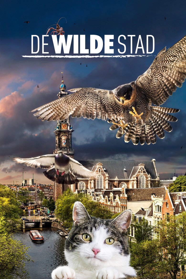 De Wilde Stad (DVD)