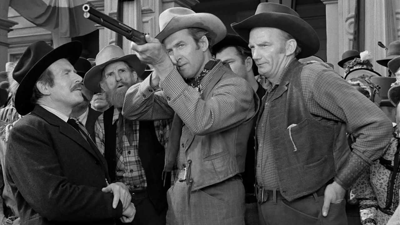 Winchester '73 (DVD)