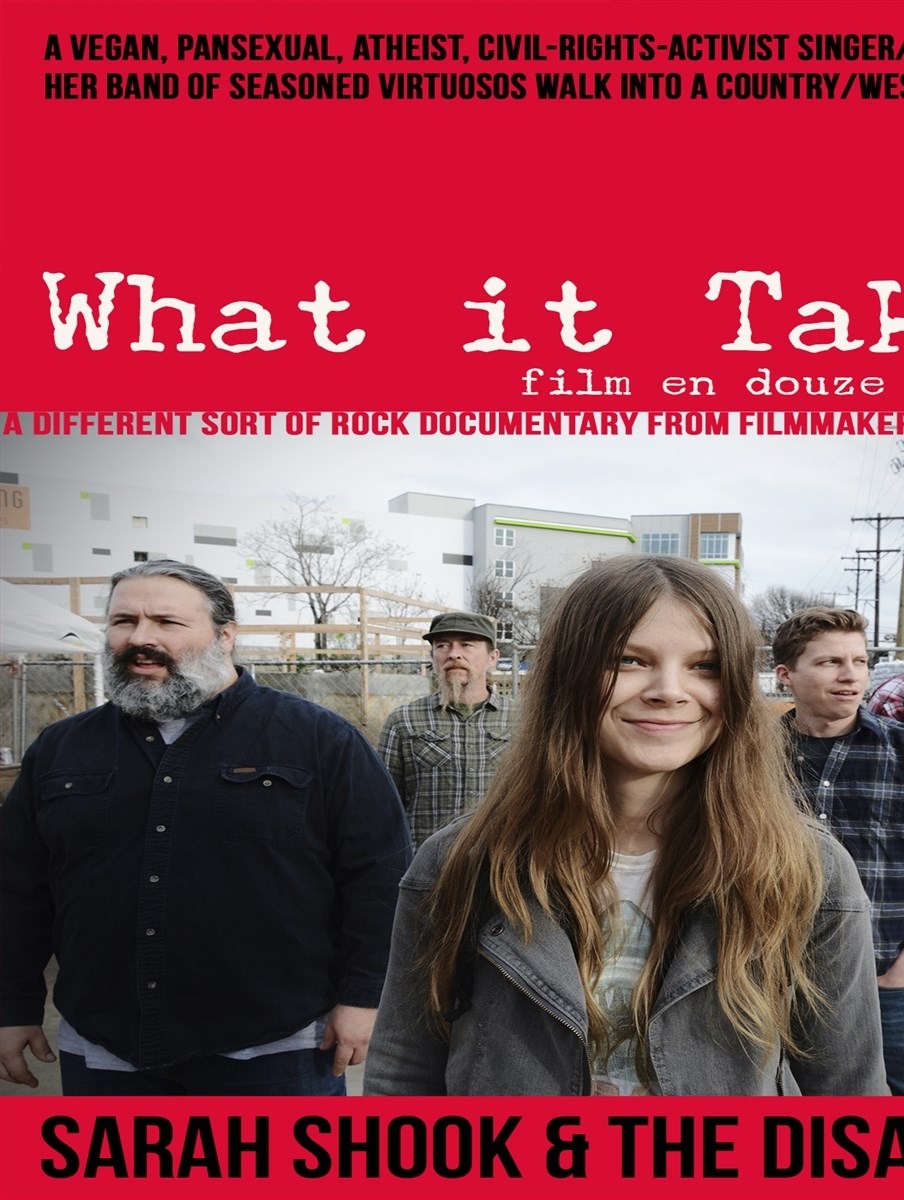 Sara Shook & The Disarmers - What It Takes; Film En Douze Tableaux (DVD Audio)