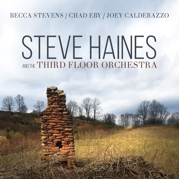 Steve Haines And The Third Floor Orchestra - Steve Haines And The Third Floor Orchestra (CD)