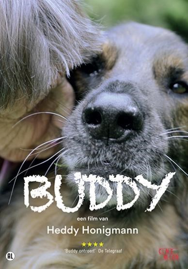 Buddy (DVD)
