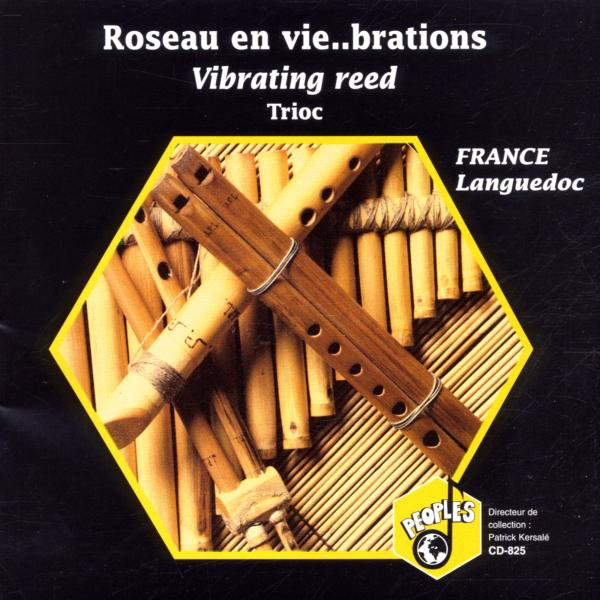 Daniel Benhaim, Sylvie Ena, Vincent Favre - Roseau en Vie...Brations (CD)