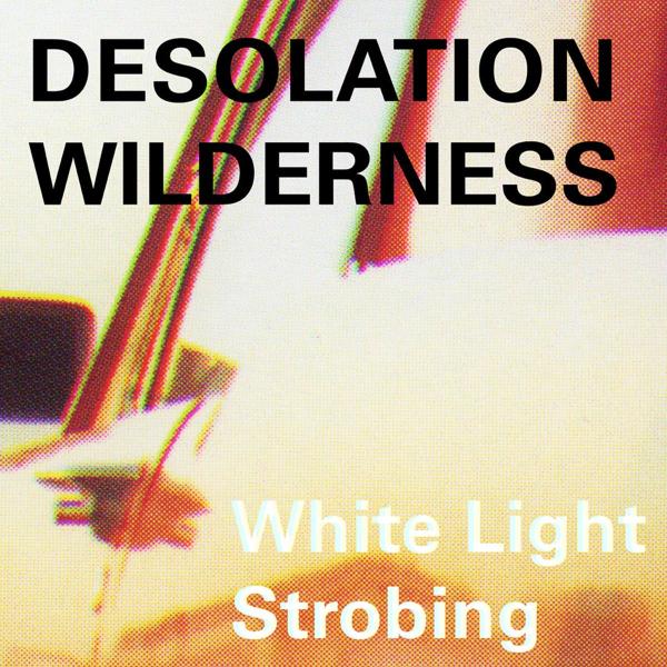 Desolation Wilderness - White Light Strobing (CD)