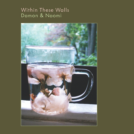 Damon & Naomi - Within These Walls (CD)