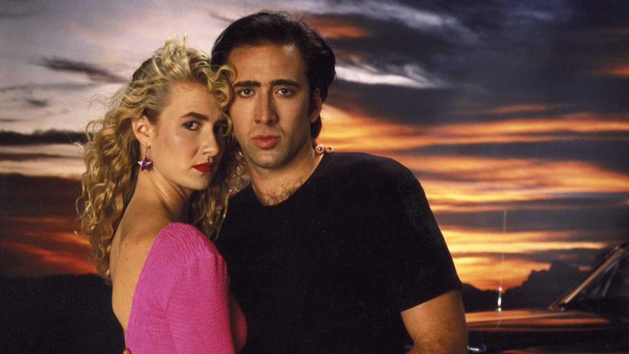 Wild at Heart - Collector's Edition