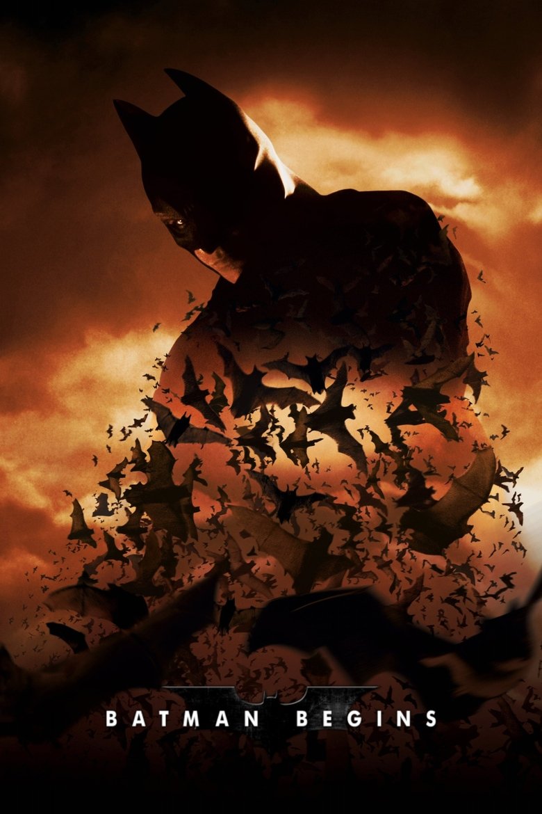Batman begins (DVD)