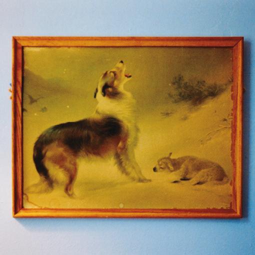 Explosions In The Sky - The Rescue (LP) (Anniversary Edition) (Remastered)
