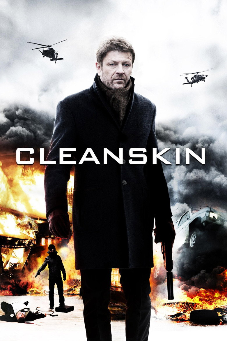 Cleanskin (DVD)