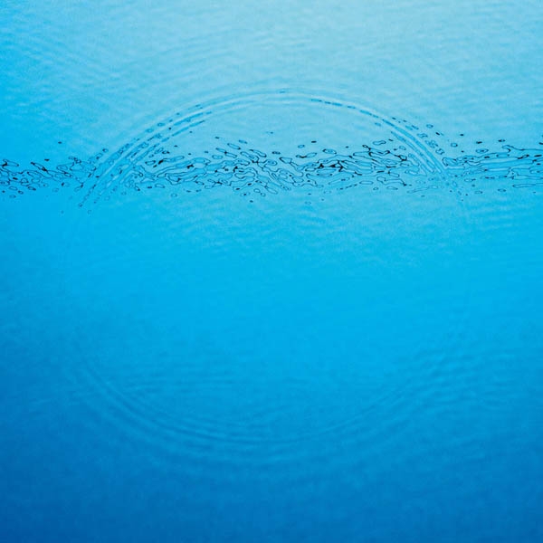 Caribou - Suddenly (LP)