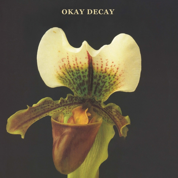Canshaker Pi - Okay Decay (CD)