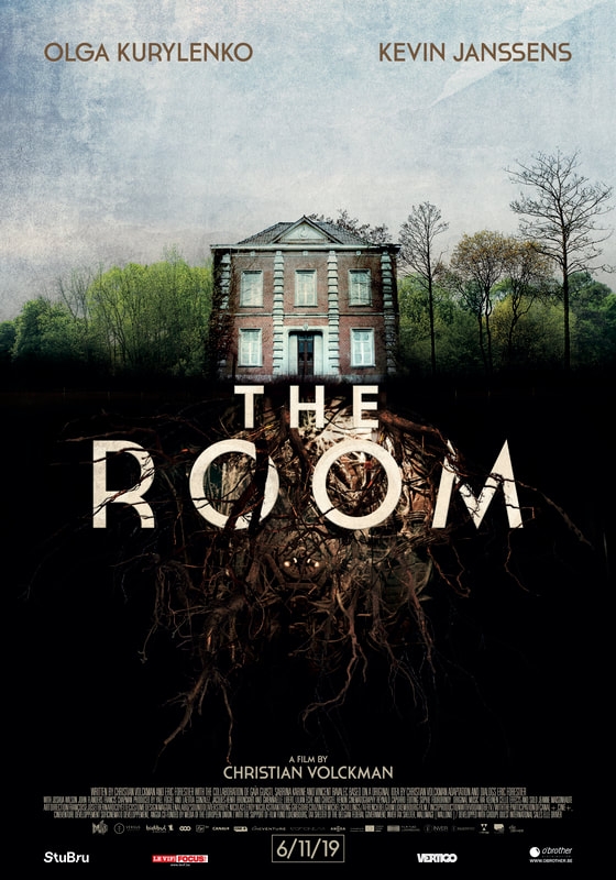 The Room (DVD)