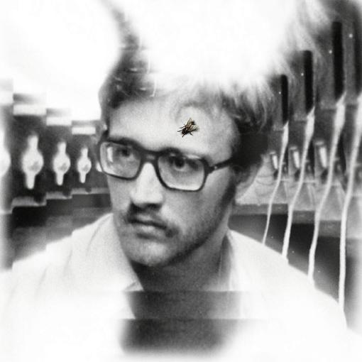 Damaged Bug - Bug On Yonkers (LP)