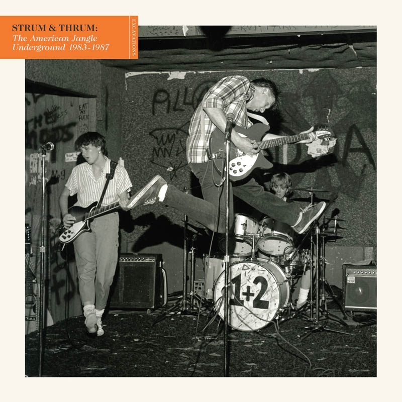 Various Artists - Strum & Thrum: The American Jangle Underground 1983-1987 (2 LP)