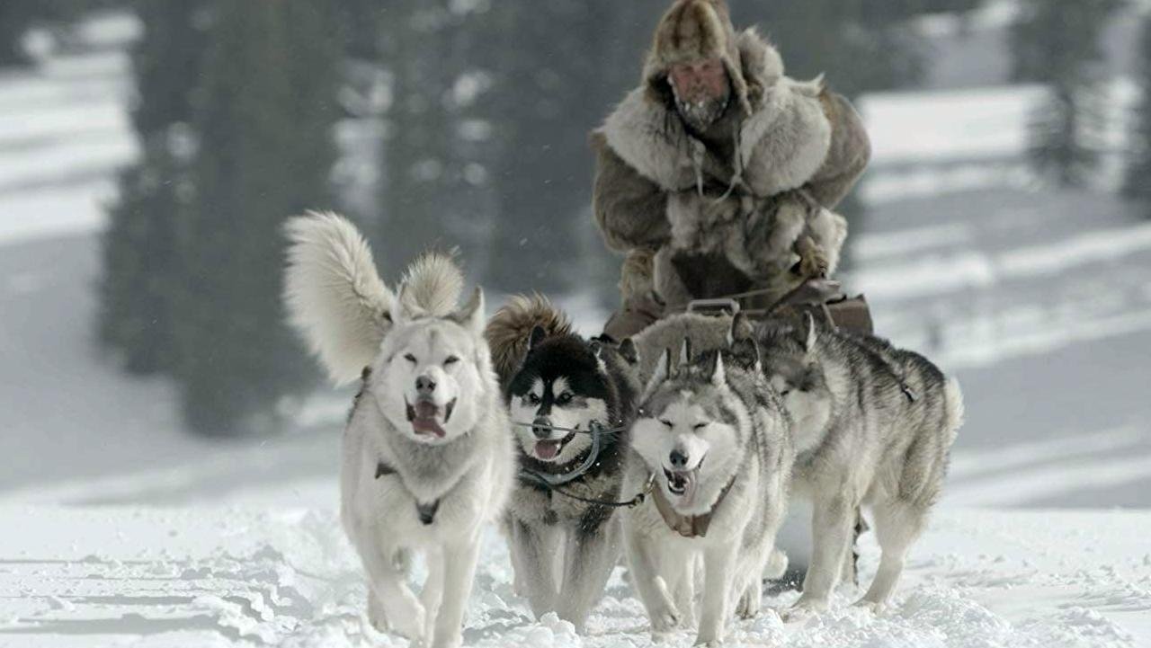 Great Alaskan Race (DVD)