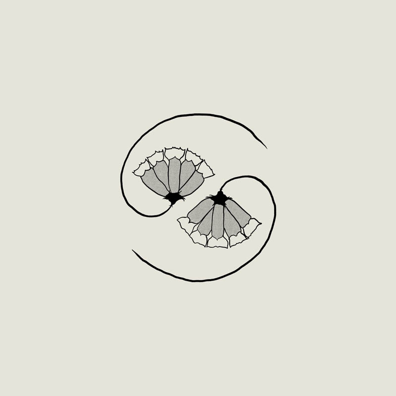 Godspeed You! Black Emperor - G_d's Pee At State's End! (LP | 10" Vinyl)