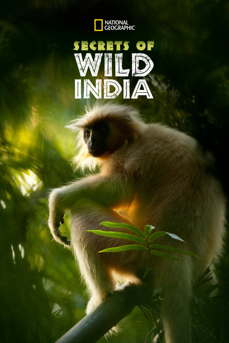 National Geographic - Secrets Of Wild India (Blu-ray)