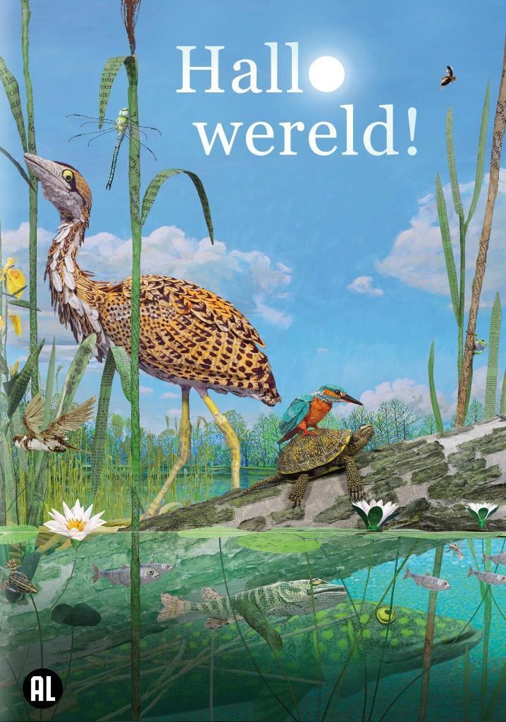 Hallo Wereld (DVD)