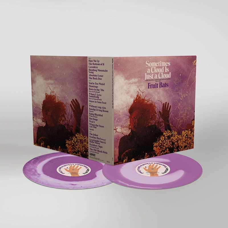 Fruit Bats - Sometimes A Cloud Is Just A Cloud: Slow Growers, Sleeper Hits, And Lost Songs (2001-2021) (2 LP) (Coloured Vinyl) (Deluxe Edition)