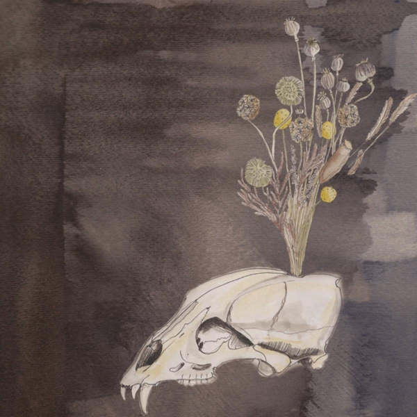 Steve Gunn & Black Twig Pickers - Seasonal Hire (LP) (Coloured Vinyl) (Limited Edition)