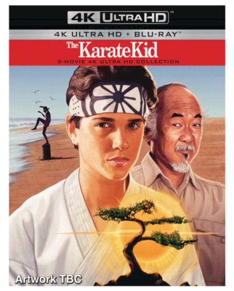 Karate Kid. The - 1. 2 & 3 (Import)