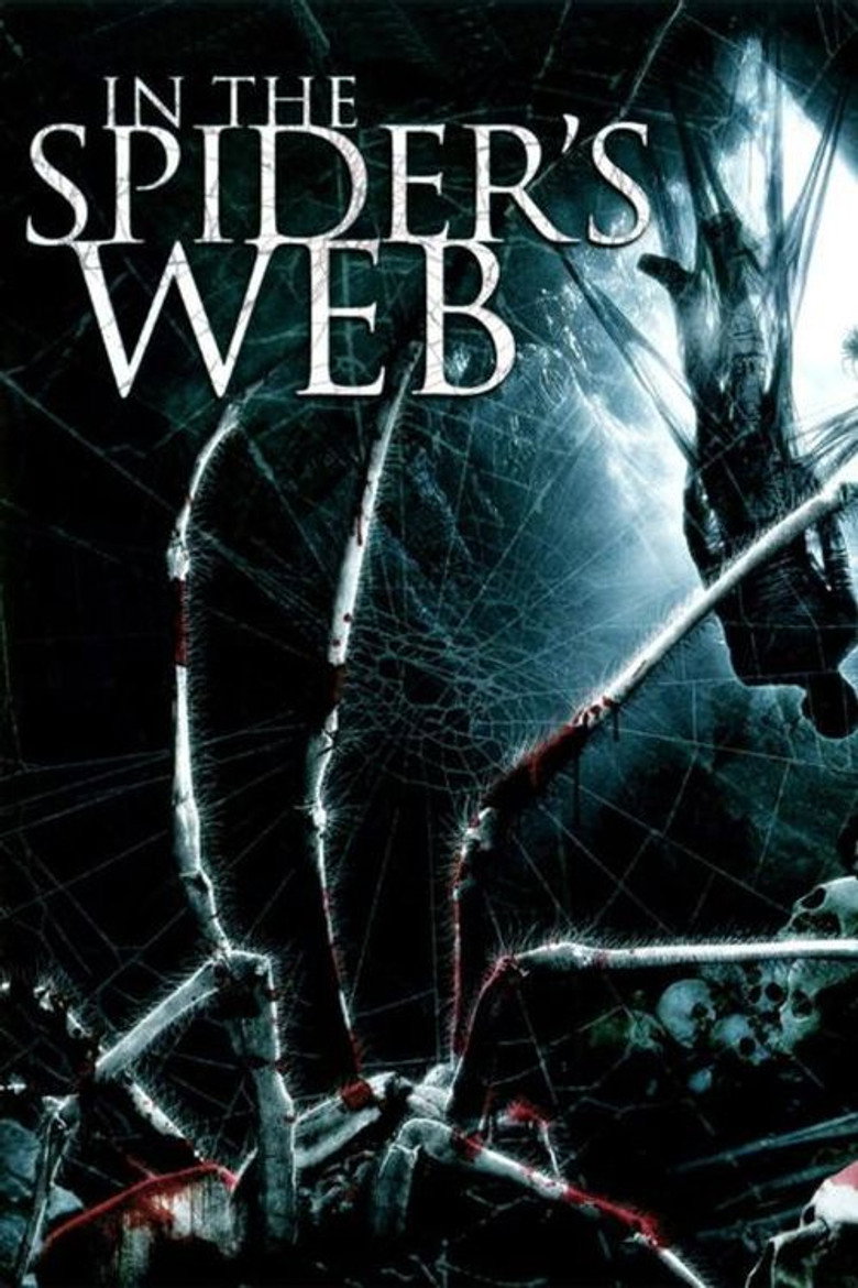 In The Spider's Web (DVD)