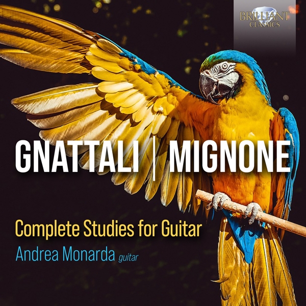 Andrea Monarda - Gnattali, Mignone: Complete Studies For Guitar (2 CD)