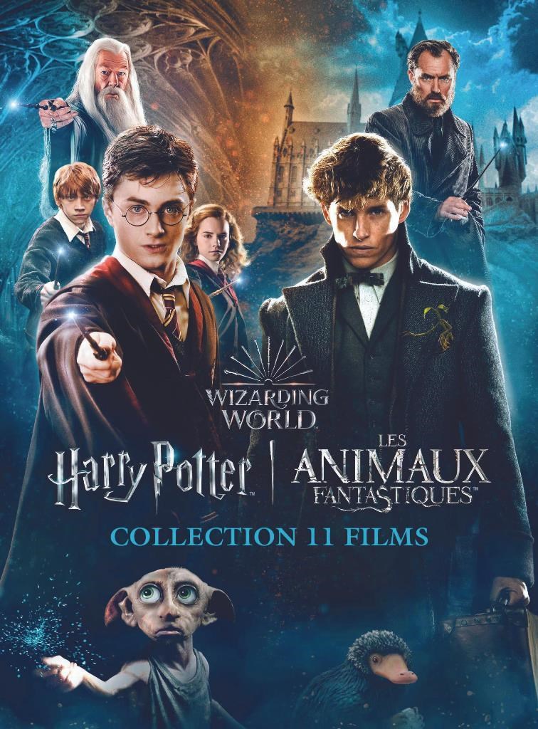 Harry Potter - 1 - 7.2 Collection + Fantastic Beasts 1 - 3 (French Version) (DVD)
