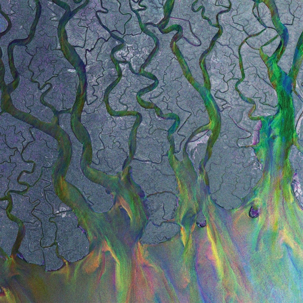 Alt-J - An Awesome Wave (LP) (Coloured Vinyl)